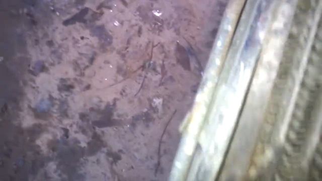 Опрессовка (проверка) радиатора (воздухом и водой), подручными средствами. Еразкин. МИРовой влог смотреть онлайн