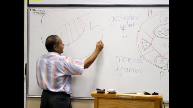 GIT Block Lec7 Prof Wagih "female" part9 end смотреть онлайн