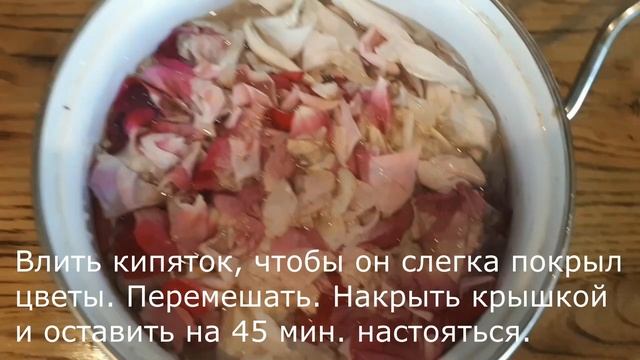 Розовая-пионовая вода смотреть онлайн