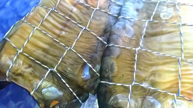 Ремонт и Строительство