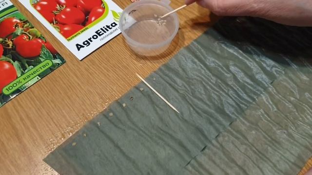 Томаты для открытого грунта. Сажаем Семена Партнёр и Семена Седек. смотреть онлайн