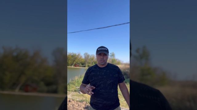 Платная рыбалка, пруд Чёрные камни 31.08.23. Запуск калуги . смотреть онлайн