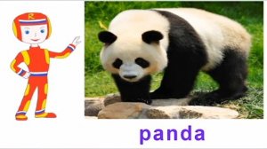 Дикие животные на английском. Видеоуроки.