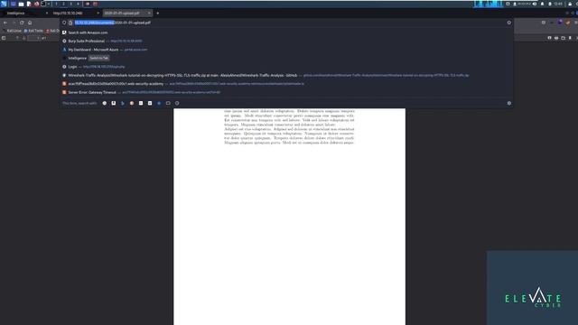 Automating Pentesting With Python - A Real Example смотреть онлайн