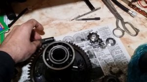 SENS дифференциал