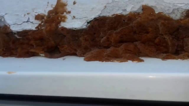 Строительный Расколбас