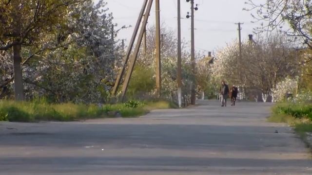 Охримовка , 36 -й выпуск. Владимир Король. смотреть онлайн