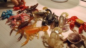 Все скорпионы и Ко! +Фарфоровый краб, Итальянский и Гигантский скорпионы (Часть 7)