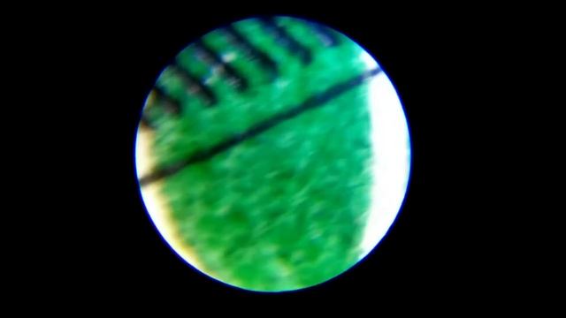 Карманный микроскоп Carson MicroBrite. Обзор смотреть онлайн