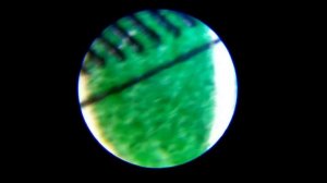 Карманный микроскоп Carson MicroBrite.  Обзор