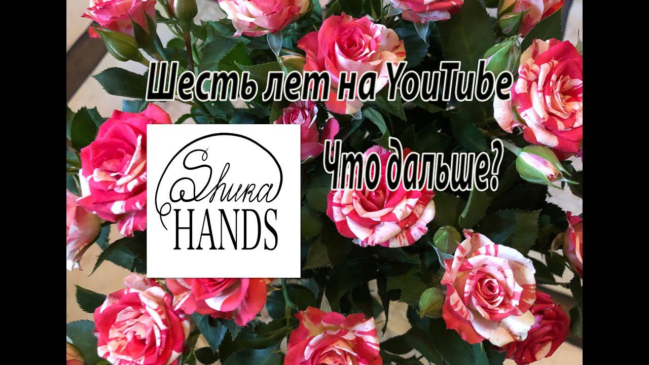 Шесть лет на YouTube. Что дальше? Разговоры о том, о сём. смотреть онлайн