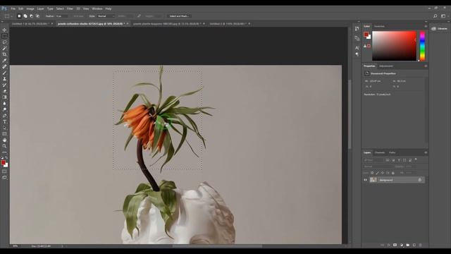 Mastering the Marquee Tool in Photoshop: Selection Techniques & Tips смотреть онлайн