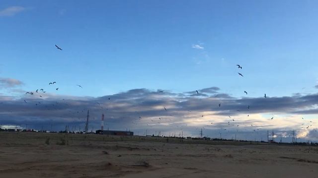 Красота 😍 Ямала смотреть онлайн