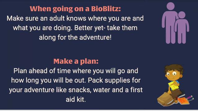 What is a BioBlitz? смотреть онлайн