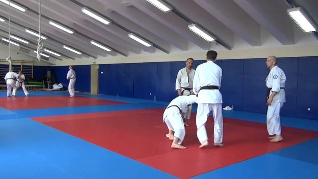 Экзамен на черный пояс томики айкидо (7 часть) смотреть онлайн