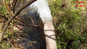 Откачиваем озеро мотопомпой