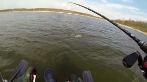 Лучшие воблеры на щуку - Jackall Mag Squad 115