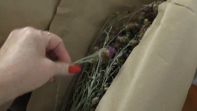 ДВА МЕШКА ВКУСНОСТЕЙ И ПОЛЕЗНОСТЕЙ /ТРАВЫ ДЛЯ ШИНШИЛЛ смотреть онлайн