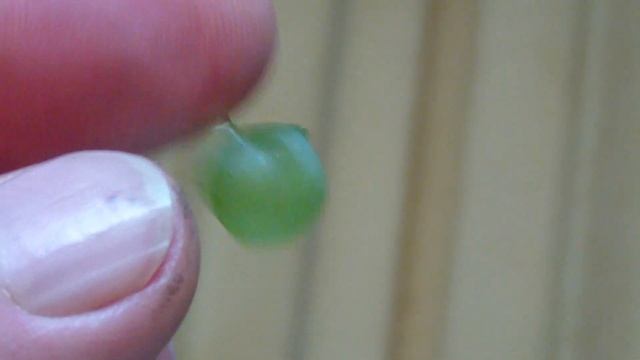 Дробилка для винограда ДВ 3 обзор смотреть онлайн