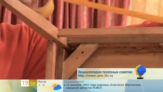 Отучить кошку драть мебель смотреть онлайн