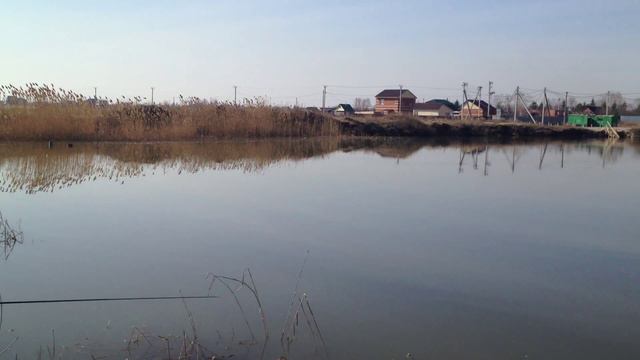 Траперовская сыпуха собрала кучу мелкого карпа) смотреть онлайн