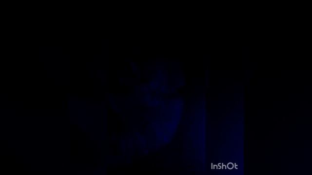 исследование кота на лишай дома /уф-лампа, детектор валют смотреть онлайн