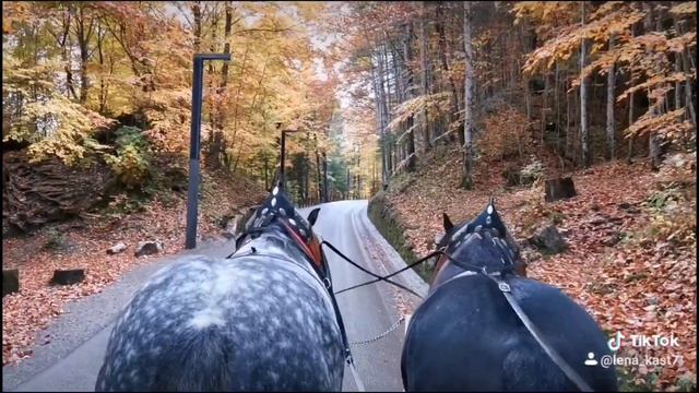 #101(2020) Порисуем!!! ? Красивый дизайн на осень и на все времена года. Дизайн 2020 смотреть онлайн