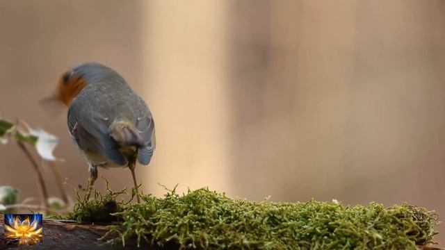 Healthy Sleep for Babies | Cosy Sounds for a Good Night смотреть онлайн