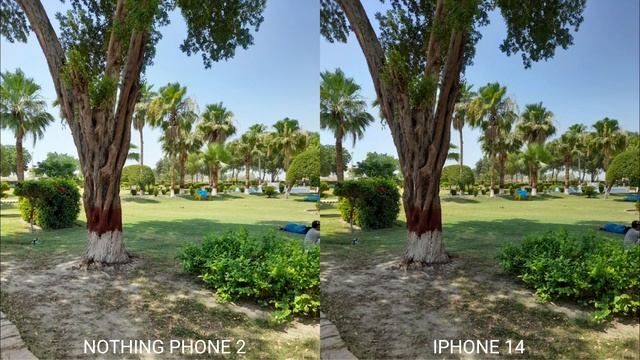 Nothing Phone 2 Vs iPhone 14 Camera Test смотреть онлайн