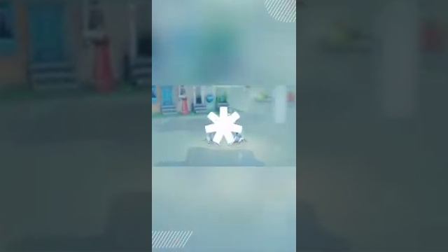 крутые деньки собачек 101🐾