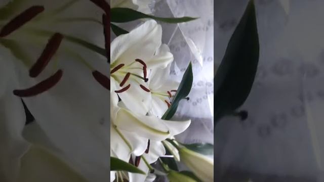 Букет цветов 7 смотреть онлайн