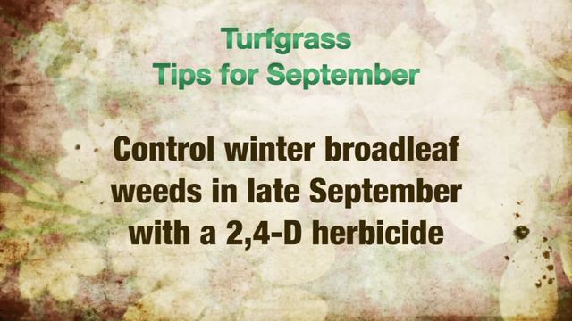 Horticulture Tips for September смотреть онлайн