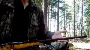 Охотничье оружие СССР. Тоз 17-01