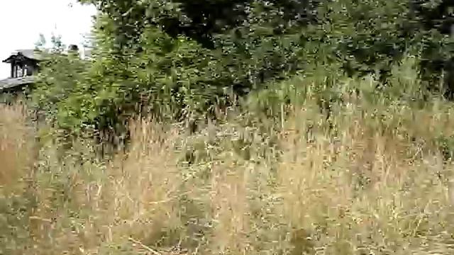 БОРИСОГЛЕБСКИЙ РАЙ - МОМОТОВО http://motovo.narod.ru смотреть онлайн