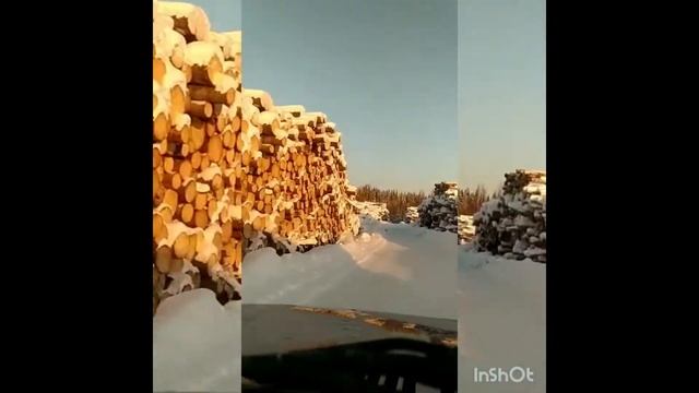 Лесной бизнес по-карельски смотреть онлайн
