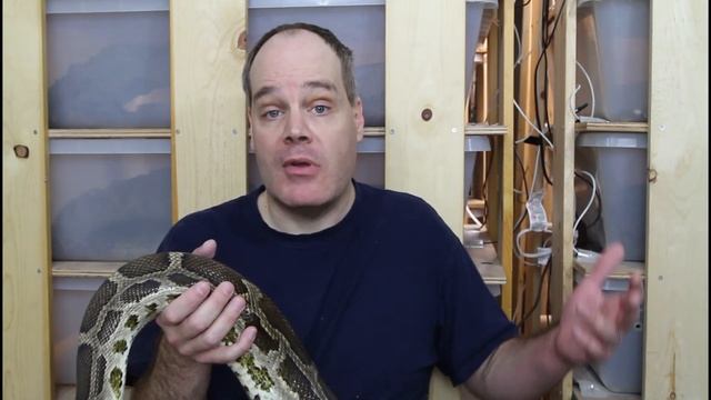 INDIAN PYTHON: See My Really BIG SNAKE! смотреть онлайн