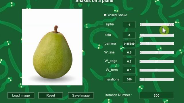 Snakes: Active Contours GUI Demo смотреть онлайн