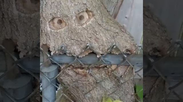 Самое смешное на ютуб смотреть онлайн