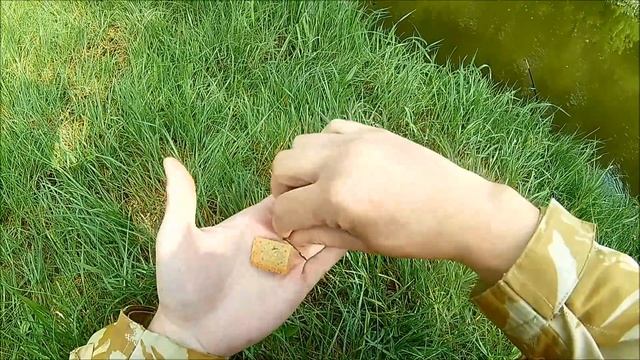 ГОЛАВЛЬ В МАЕ. ГОЛАВЛЬ И КОРОЧКА ХЛЕБА.РЫБАЛКА НА РЕКЕ. смотреть онлайн