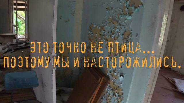 Психбольница со страшной историей ЖУТКИЙ МОРГ| A mental hospital with a scary story A CREEPY MORGUE смотреть онлайн