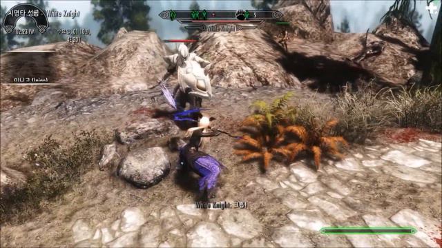 Revenge to White Knight in Skyrim смотреть онлайн