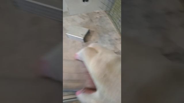 Потолок из гипсокартона, Парящий потолок. Обшивка потолка гипсокартоном. смотреть онлайн