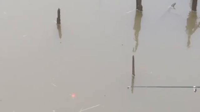 РЫБУ ПОЙМАЛ - ПОЛ УДОЧКИ СГИБАЛОСЬ смотреть онлайн