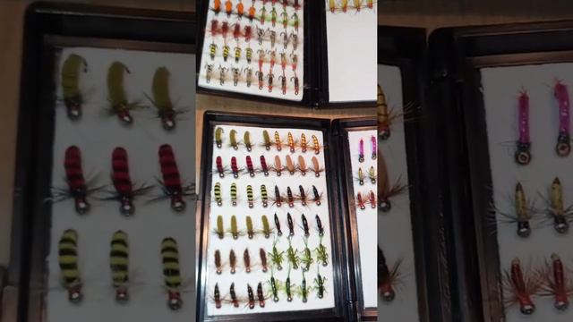 Отправил заказ Уловистых мушек для ловли Хариуса и Ленка в Казахстан г.Ридер смотреть онлайн