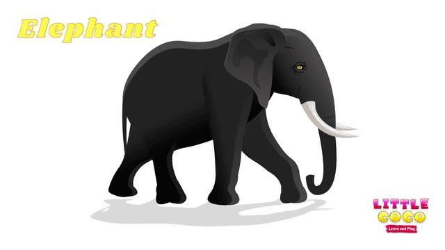 Guess the Animals Game by their silhouette | Guess the Animals game for toddlers and preschoolers смотреть онлайн