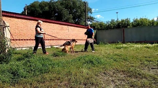 Стрела Супер Агент тренируется! смотреть онлайн