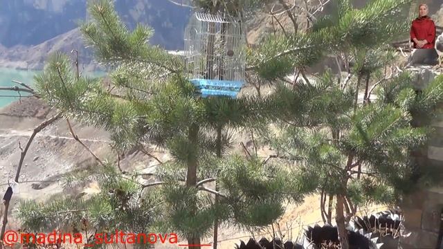 МУЗЕЙ ПОД ОТКРЫТЫМ НЕБОМ МАГОМЕДА УМАРДИБИРОВИЧА смотреть онлайн