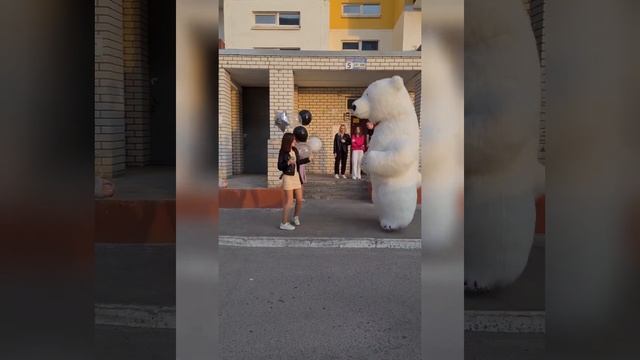Белый Медведь поздравил с 18 летием в Волжском ?? #белыймедведьволжский #поздравлениеотбелогомедвед смотреть онлайн