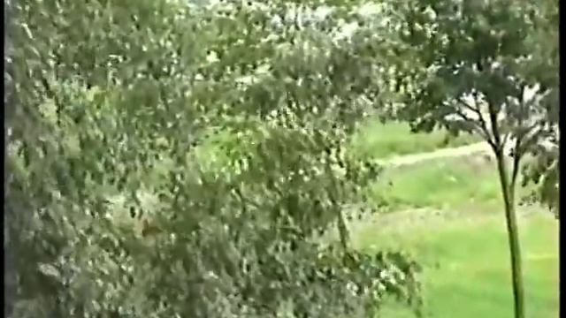 Калейдоскоп 1