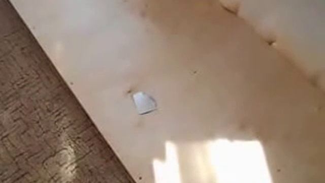 Что делать если провалилось днище у дивана смотреть онлайн